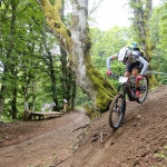 La lecture de la piste était indispensable pour éviter les racines traitresses.