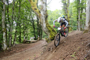 La lecture de la piste était indispensable pour éviter les racines traitresses.